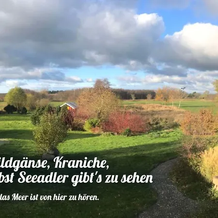 Im Idyllischsten Winkel Ruegens By Interhome Neuenkirchen (Landhagen)