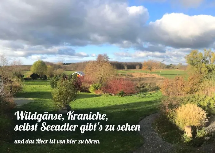 Im Idyllischsten Winkel Ruegens By Interhome Neuenkirchen